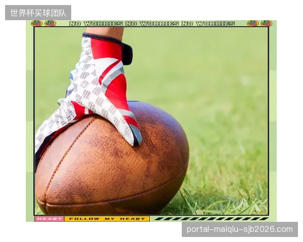 美国职业橄榄球大联盟（NFL）推行的“透明包政策”（ClearBagPolicy），是通过简化物理检查环节，将安保资源更多投入到行为监控中的成功实践